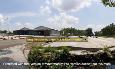 GAK PAKAI MAHAL Gudang Raya Gembong Babat Lamongan 3Ha Jatim