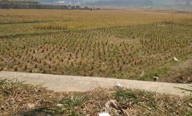 Cheap Land For Sale 7.2 Ha In Cihampelas West Bandung