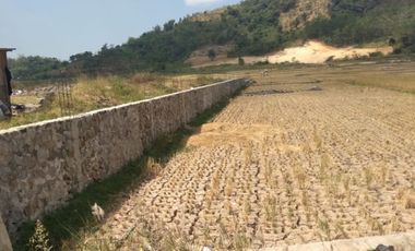 Cheap Land For Sale 7.2 Ha In Cihampelas West Bandung