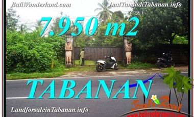7.950 m2 View Kebun Murah Rp 2,9 jt/m di Tabanan Bedugul