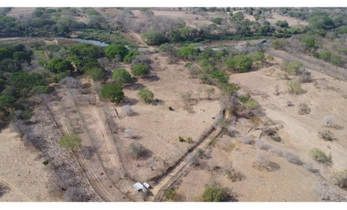 Se Vende Terreno de 4.8 hectáreas en Los Olivos de Los Santos 
