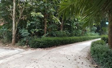 6 menit Alun-Alun Purworejo: Tanah Murah Purworejo 100 Jt-an