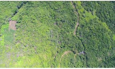 Finca en venta en Punta Barco (ID 12050) 