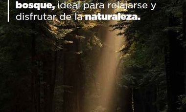 Parcela en Venta en Cardonal de Panilonco