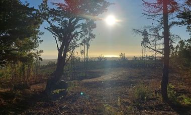 Parcela en Venta en Cardonal de Panilonco