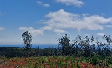 Parcela en Venta en Cardonal de Panilonco