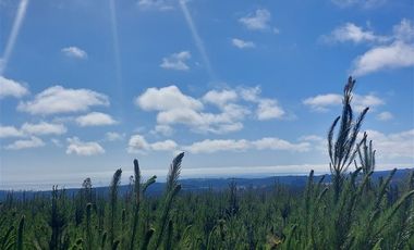 Parcela en Venta en Cardonal de Panilonco