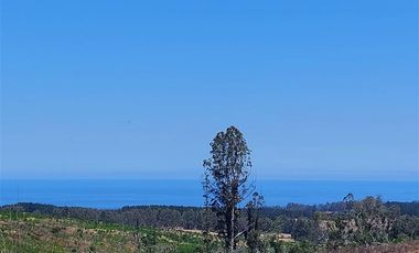 Parcela en Venta en Cardonal de Panilonco