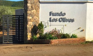 Sitio en Venta en Parcela en Fundo Los Olivos de Quepo