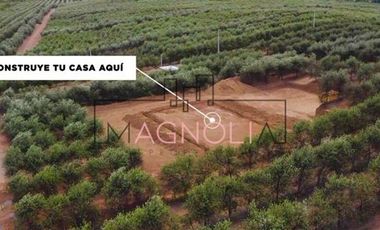 Sitio en Venta en Parcela en Fundo Los Olivos de Quepo