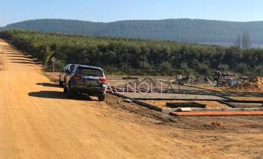 Sitio en Venta en Parcela en Fundo Los Olivos de Quepo