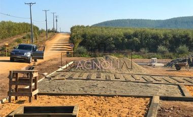 Sitio en Venta en Parcela en Fundo Los Olivos de Quepo