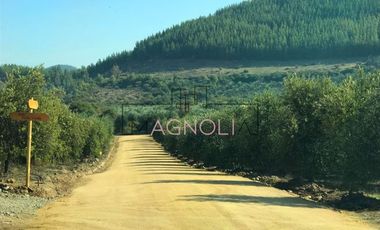 Sitio en Venta en Parcela en Fundo Los Olivos de Quepo