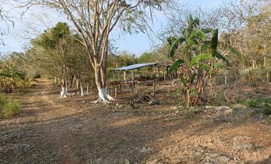 RANCHO EN SAN ISIDRO EN YUCATAN