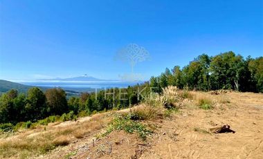 Sitio en Venta en Pedregoso