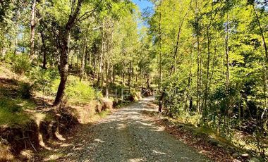 Sitio en Venta en Pedregoso
