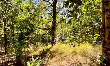 Sitio en Venta en Pedregoso