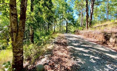 Sitio en Venta en Pedregoso