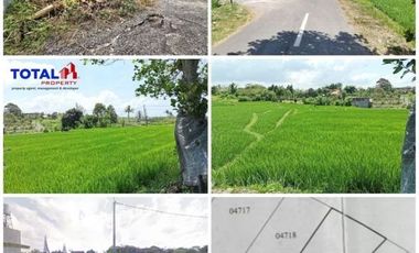 Tanah dijual di Canggu, Canggu, Kuta Utara, Badung, Bali