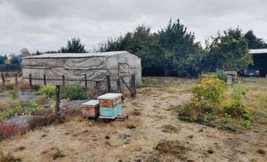 Se Vende Hermoso Campo de 10000mt2 camino Antuco