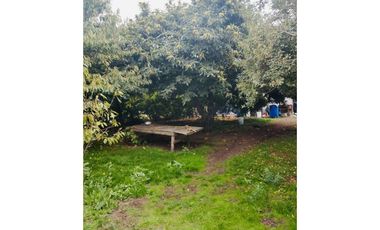 Se Vende Hermoso Campo de 10000mt2 camino Antuco