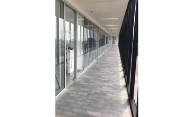 Renta de Oficinas sobre 5 de Febrero Edicio Corporativo AAA, Santiago de Querétaro Centro