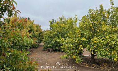 Parcela con casa en sector La Princesa