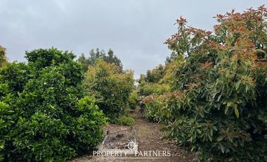 Parcela con casa en sector La Princesa