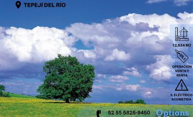Sale of industrial land, Tepejí del Río
