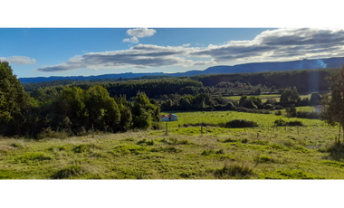 SE VENDE CAMPO DE 16 HA  CON CASA Y GALPON SECTOR COQUIAO, CHILOE