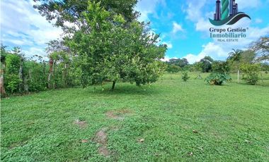 VENDO CASA 2HAB EN LOTE DE 800M2 LA ESTRELLA