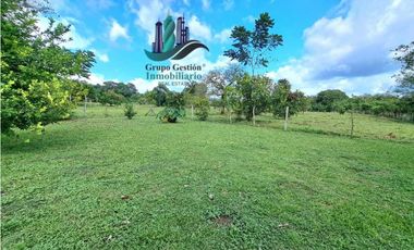 VENDO CASA 2HAB EN LOTE DE 800M2 LA ESTRELLA