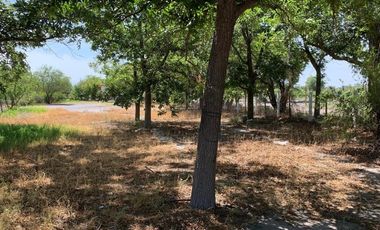 TERRENO EN VENTA CUATRO CIENEGAS COAHUILA