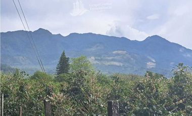 VENDO LOTE DE 3119M2 VOLCANCITO