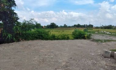 Tanah Luas Dekat Masjid Agung Bantul Cocok Buat Usaha  Cafe Resto