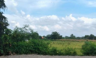 Tanah Luas Dekat Masjid Agung Bantul Cocok Buat Usaha  Cafe Resto