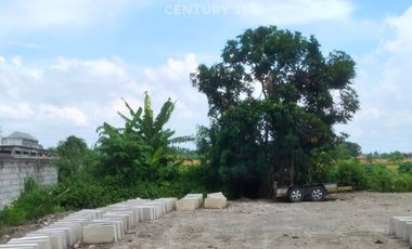 Tanah Luas Dekat Masjid Agung Bantul Cocok Buat Usaha  Cafe Resto