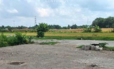 Tanah Luas Dekat Masjid Agung Bantul Cocok Buat Usaha  Cafe Resto