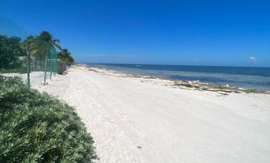 Terreno Frente al mar en San Crisanto Yucatan