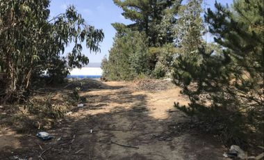 Venta Terreno 21.100 m2 Placilla