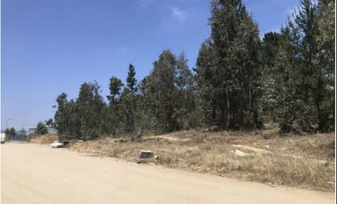 Venta Terreno 21.100 m2 Placilla