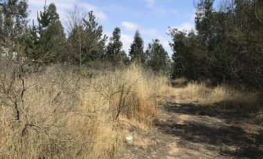 Venta Terreno 21.100 m2 Placilla