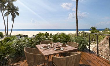 Departamento Rosa Palmar en Sisal