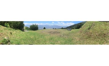 LOTE ALTO DE LAS PALMAS