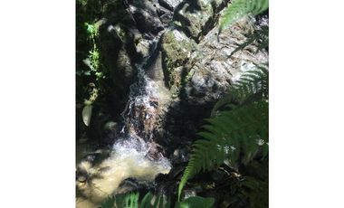 LOTE ALTO DE LAS PALMAS