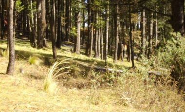 Terreno en venta en Nicolás Romero, Barrio de la Luz
