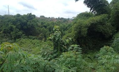 Di jual : 1 Ha Tanah Kebun Strategis Mainroad Cikalong Wetan, Bandung Barat.