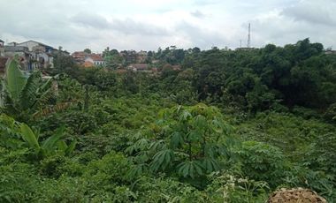 Di jual : 1 Ha Tanah Kebun Strategis Mainroad Cikalong Wetan, Bandung Barat.
