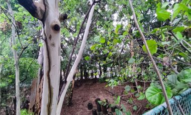 AV CARLOS JULIO SE VENDE PROPIEDAD 100% COMERCIAL