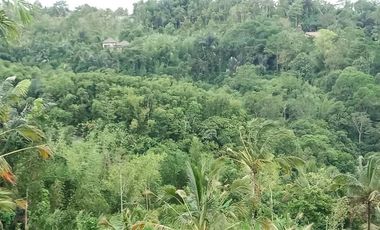 sale land view rice field, jungle, and sea in payangan ubu